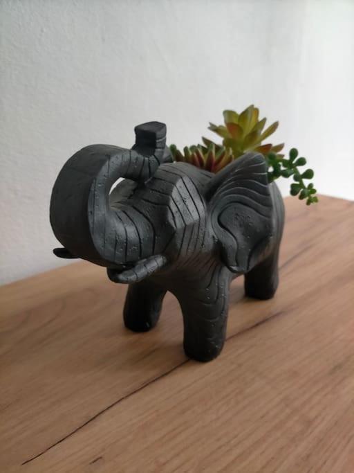 La Jungle Urbaine Avec Garage Prive & Climatisation Apartment Perpignan Luaran gambar
