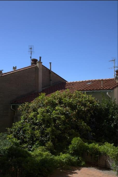 La Jungle Urbaine Avec Garage Prive & Climatisation Apartment Perpignan Luaran gambar
